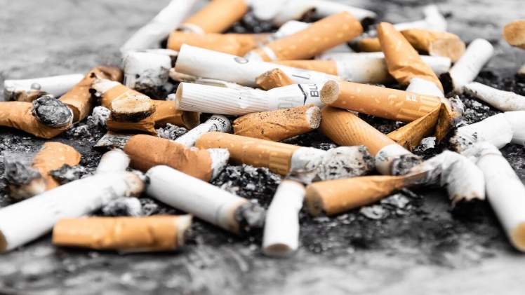 Why Should You Make a Resolution of Smoking CBD?