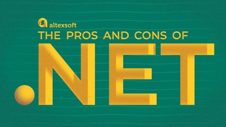 .NET Developer Career: Pros and Cons