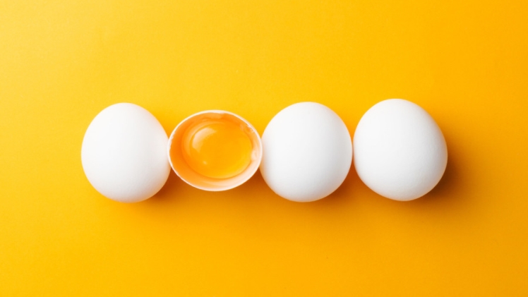FINDING THE BEST-QUALITY EGGS