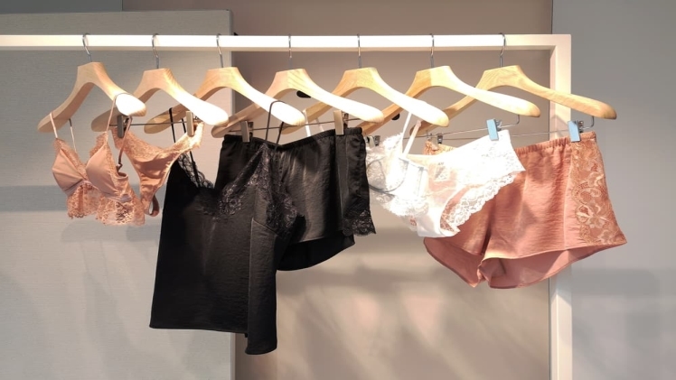 Lingeries: The Essential Element of Every Women’s Wardrobe