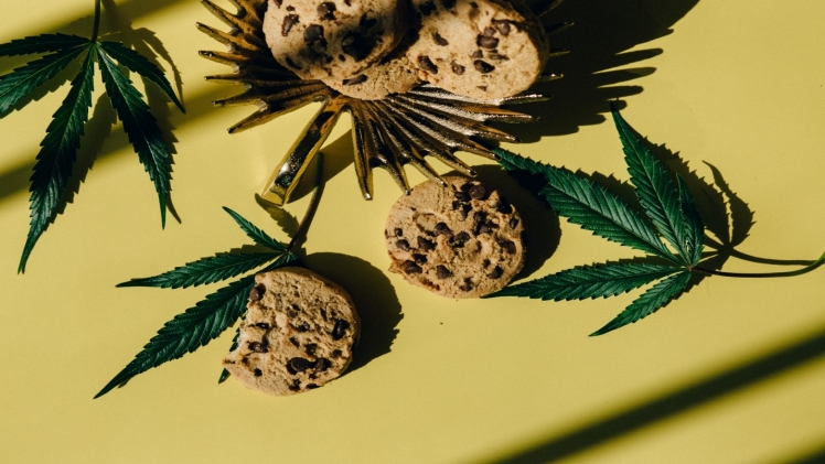 6 Surprising Benefits of Consuming CBD