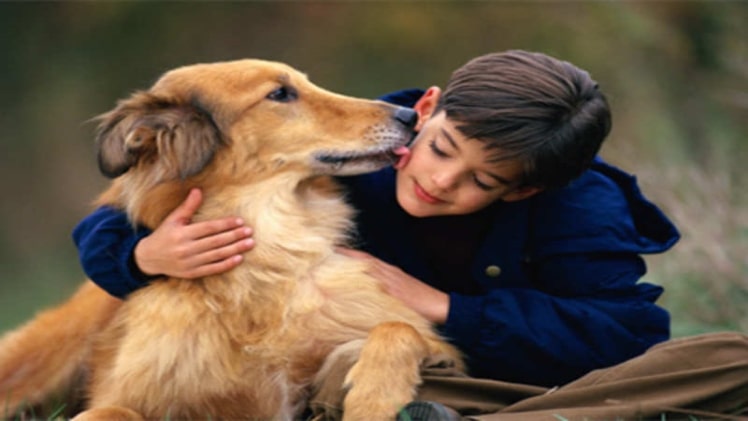 5 Reasons to Own a Pet Animal