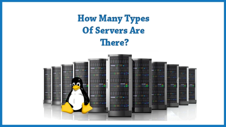 How many types of servers are there?