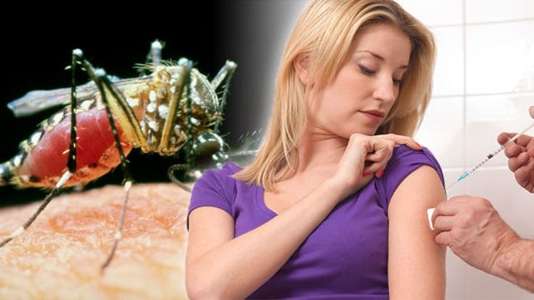 How to Prevent Yellow Fever