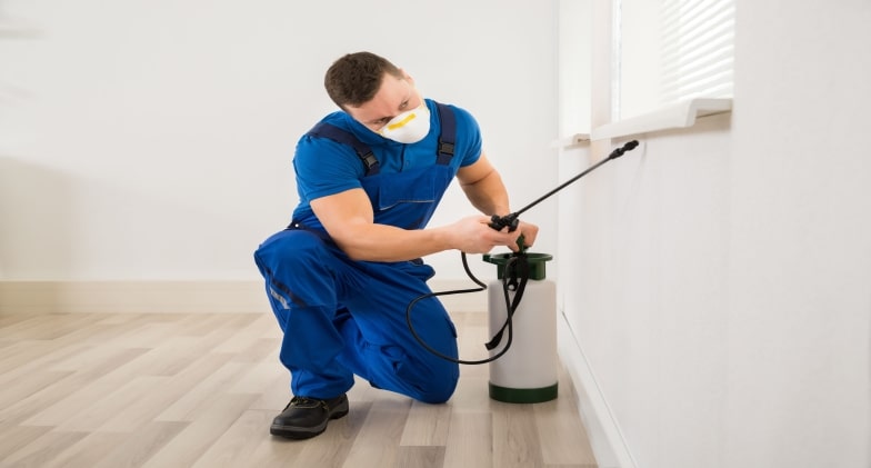 What To Know About Pest Control