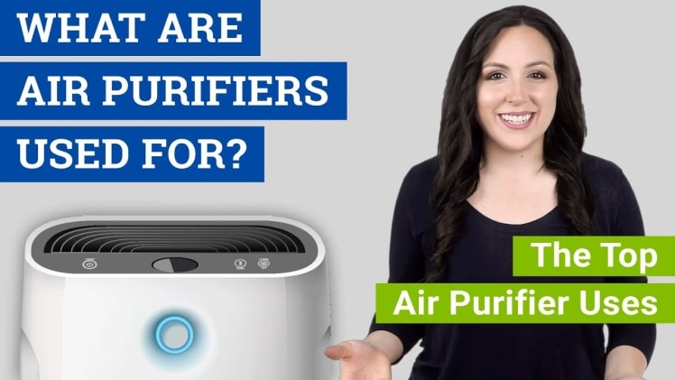 Why You Need An Air Purifier