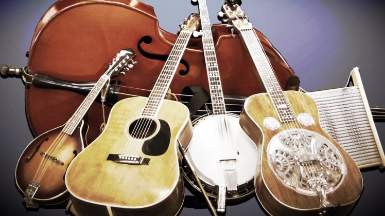 Is It Possible to Master Multiple Musical Instruments?