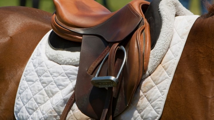 The saddle pad: what are its functions?