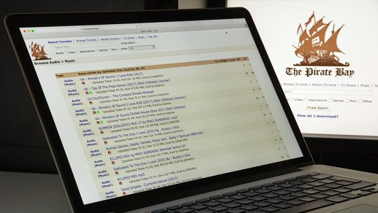 The Benefits of Public Domain Torrents