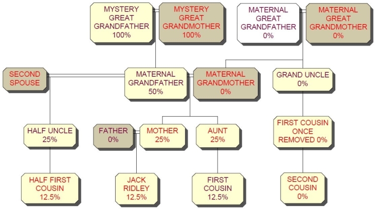 How to Find Your Unknown Grandfather’s DNA With a DNA Test