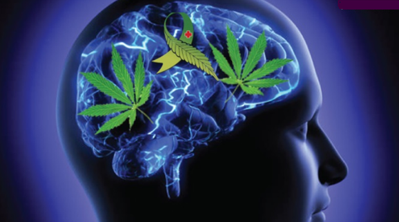 Is Marijuana Good for Your Mental Health?