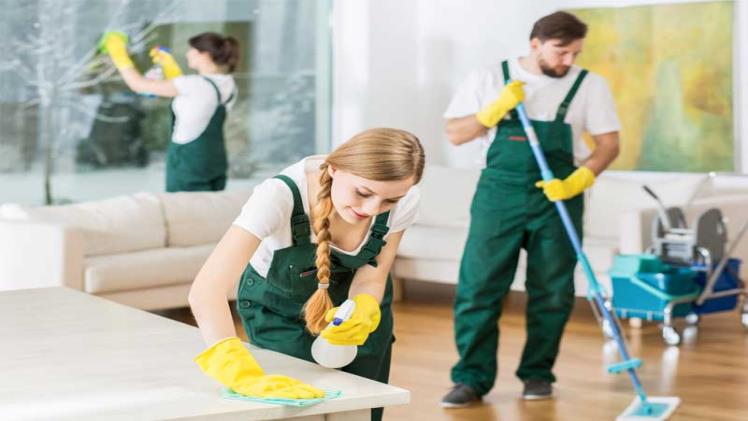 How to choose professional cleaning company?