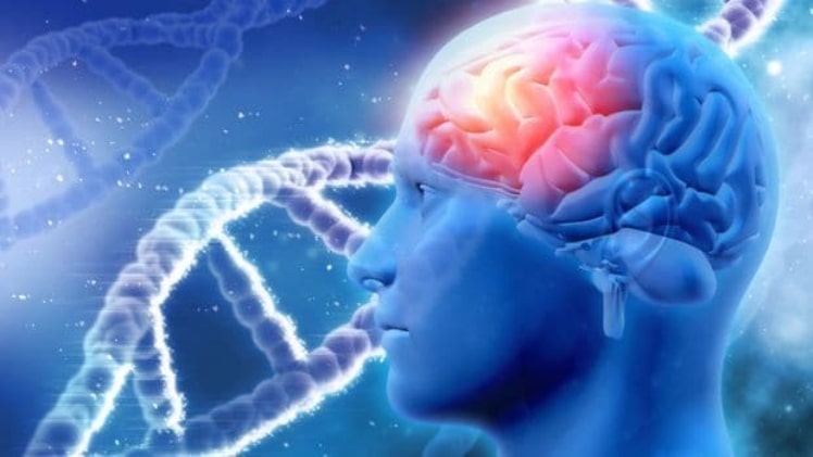 Tips to Keeping Healthy Body and Sound Mind