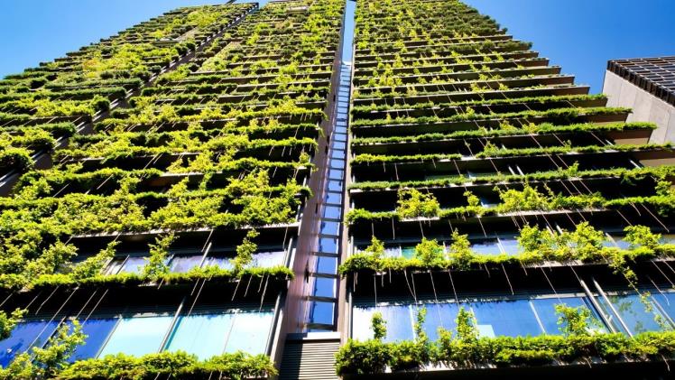 Green Building Trends for 2022