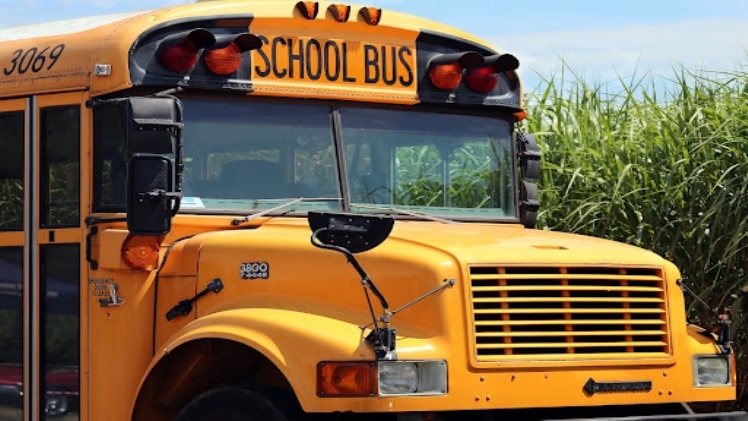 A School Bus Hit My Child: What Should I Do?