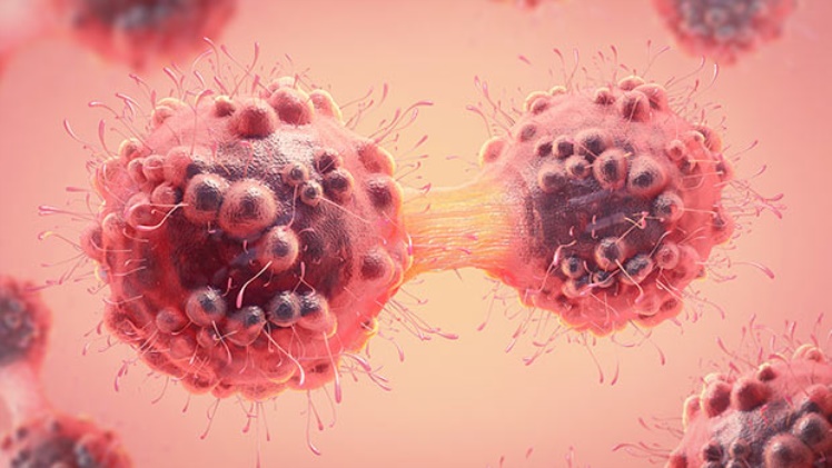 Mind-blowing Myths You Need to Know about the Cloning Process