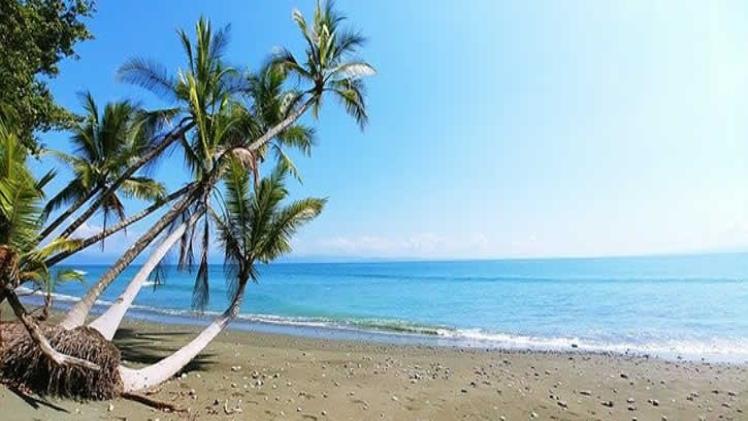Experience the Beauty of Costa Rica While Learning Spanish