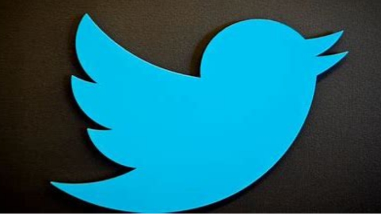 The Ultimate Guide to Twitter Video Downloaders: Unlocking the Power of Online Tools